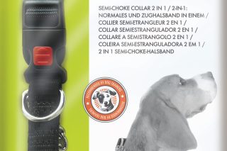 Collar 2 en 1 / collar y entrenador 2.5 x 41-56 cm talla l