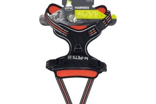 Arnes para mascotas hiking - large