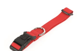 Collar 100% de plastico reciclado 2.5 cm x 38 - 66 cm / peso 12,5 kl/ resistencia de trancción 40kl