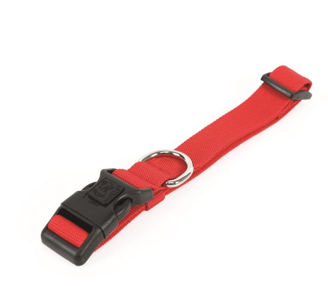 Collar 100% de plastico reciclado 2.5 cm x 38 - 66 cm / peso 12,5 kl/ resistencia de trancción 40kl