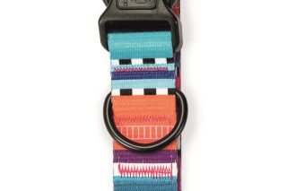 Collar para mascotas talla m 2.0 cm x 30 - 50 cm hasta  31 kg