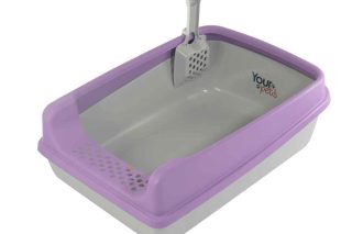 Arenero gattino c/ pala - morado
