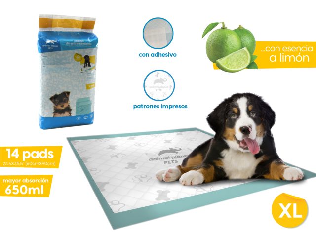 Pad de entrenamiento 14 pzas x bolsa 60x90cm