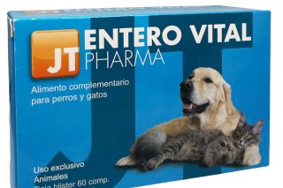Entero Vital JTPharma
